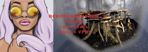 прущие крисы Горнозаводск